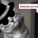 Servidores do PECPF rechaçam tentativa de ressuscitar projeto rejeitado: “vendem gato por lebre” com nova roupagem