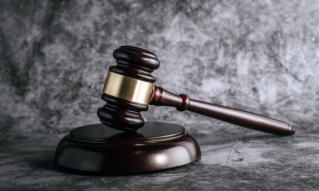 SinpecPF prepara ações contra a Reforma da Previdência